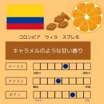 画像1: コロンビア 　ウィラ　スプレモ 　中煎り　100g (1)