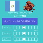 画像1: グァテマラ　アンティグア　メディナ農園 　中煎り　500g (1)