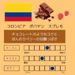画像1: コロンビア 　ポパヤン　スプレモ 　中煎り　100g (1)
