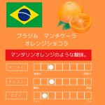 画像1: 8月のスペシャルティコーヒー ブラジル　オレンジショコラ　中浅煎り　100ｇ (1)